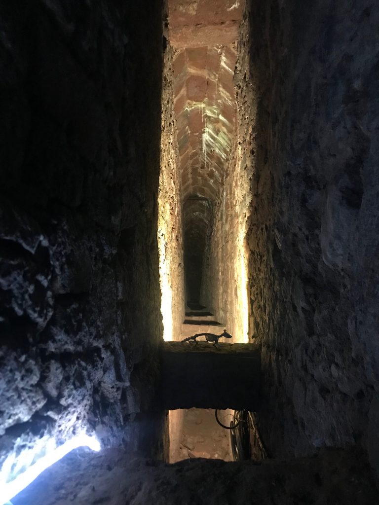 A view into a lit up section of the tunnels showing a narrow passageway, but a high ceiling. In the foreground on a horizontal bit of stone across the tunnel is the skeleton of what I suspect is a rat.